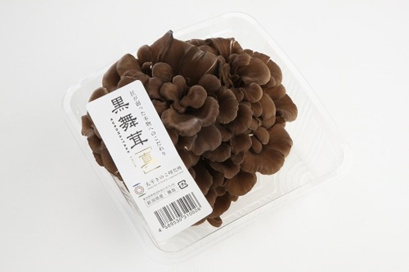 案件個別 (12)