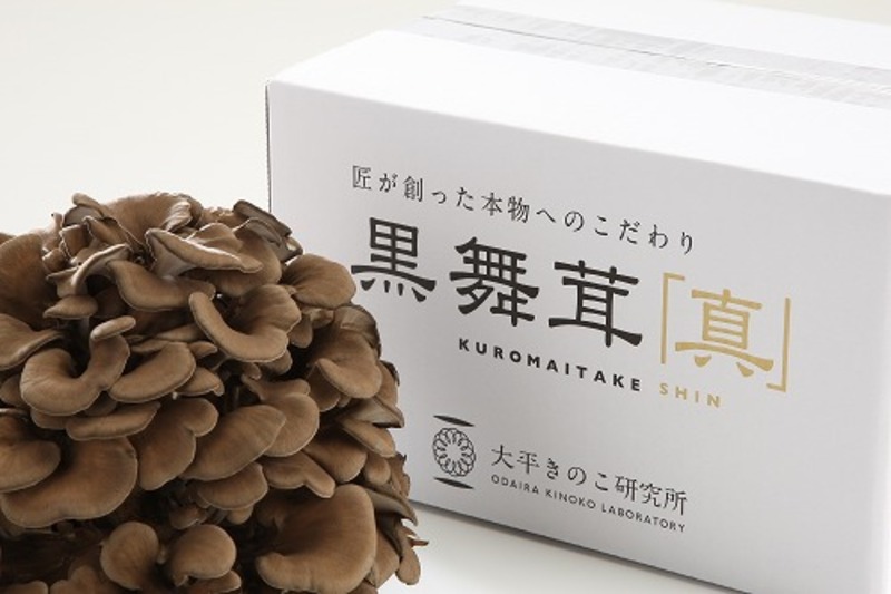案件個別 (6)