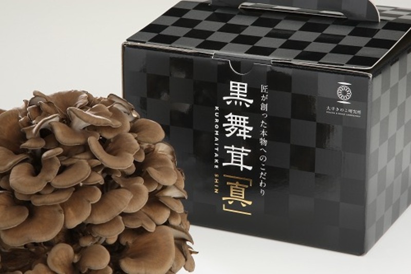案件個別 (5)